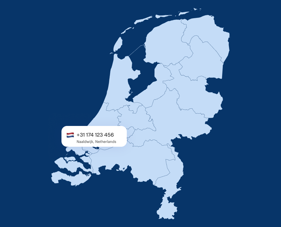 Naaldwijk Virtual Phone Number
